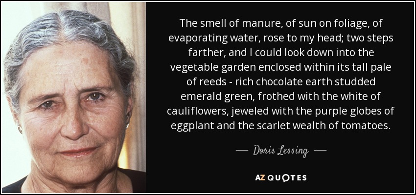 The smell of manure, of sun on foliage, of evaporating water, rose to my head; two steps farther, and I could look down into the vegetable garden enclosed within its tall pale of reeds - rich chocolate earth studded emerald green, frothed with the white of cauliflowers, jeweled with the purple globes of eggplant and the scarlet wealth of tomatoes. - Doris Lessing