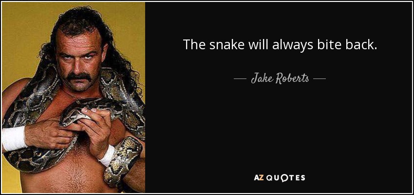 The snake will always bite back. - Jake Roberts