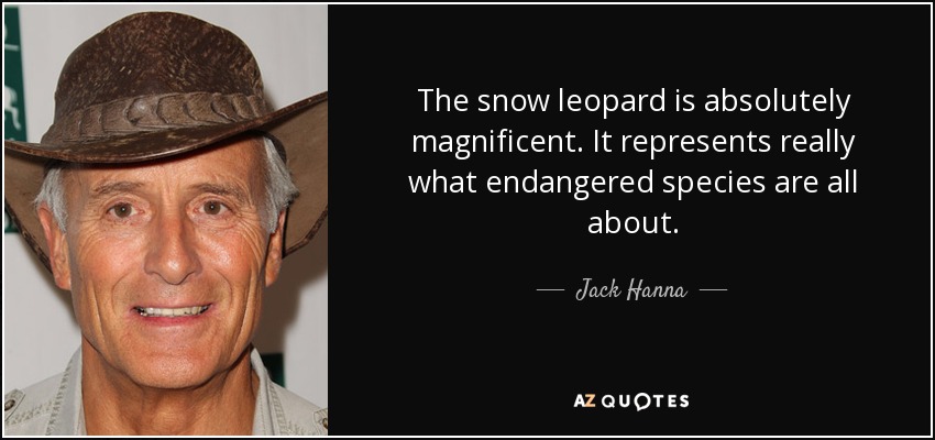 The snow leopard is absolutely magnificent. It represents really what endangered species are all about. - Jack Hanna