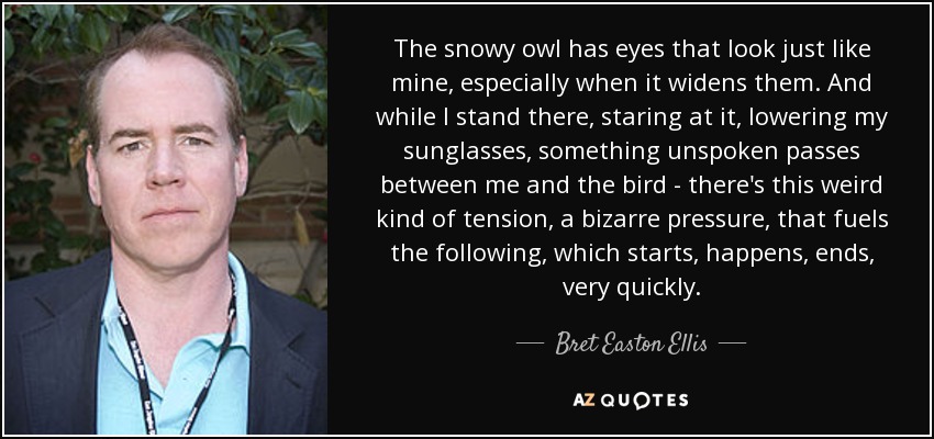 The snowy owl has eyes that look just like mine, especially when it widens them. And while I stand there, staring at it, lowering my sunglasses, something unspoken passes between me and the bird - there's this weird kind of tension, a bizarre pressure, that fuels the following, which starts, happens, ends, very quickly. - Bret Easton Ellis