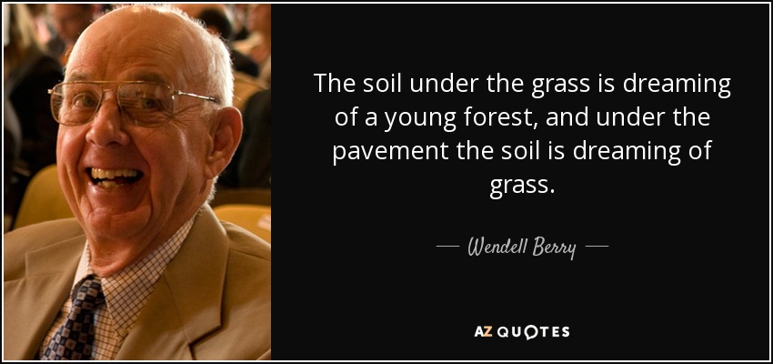The soil under the grass is dreaming of a young forest, and under the pavement the soil is dreaming of grass. - Wendell Berry