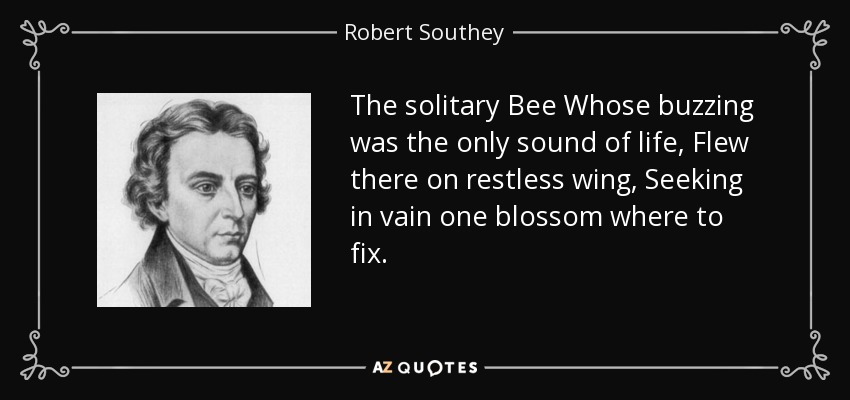 The solitary Bee Whose buzzing was the only sound of life, Flew there on restless wing, Seeking in vain one blossom where to fix. - Robert Southey