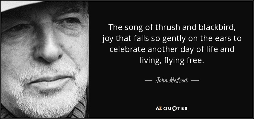 The song of thrush and blackbird, joy that falls so gently on the ears to celebrate another day of life and living, flying free. - John McLeod