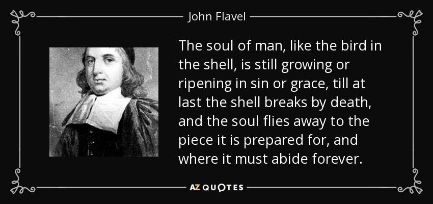 The soul of man, like the bird in the shell, is still growing or ripening in sin or grace, till at last the shell breaks by death, and the soul flies away to the piece it is prepared for, and where it must abide forever. - John Flavel