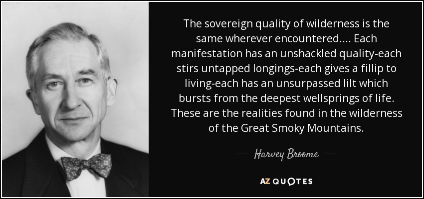 The sovereign quality of wilderness is the same wherever encountered.... Each manifestation has an unshackled quality-each stirs untapped longings-each gives a fillip to living-each has an unsurpassed lilt which bursts from the deepest wellsprings of life. These are the realities found in the wilderness of the Great Smoky Mountains. - Harvey Broome