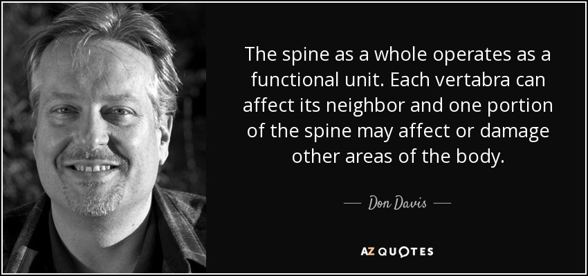 The spine as a whole operates as a functional unit. Each vertabra can affect its neighbor and one portion of the spine may affect or damage other areas of the body. - Don Davis