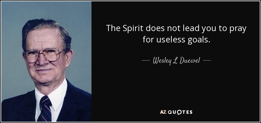 The Spirit does not lead you to pray for useless goals. - Wesley L Duewel