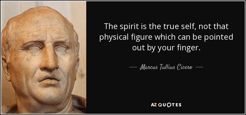 The spirit is the true self, not that physical figure which can be pointed out by your finger. - Marcus Tullius Cicero
