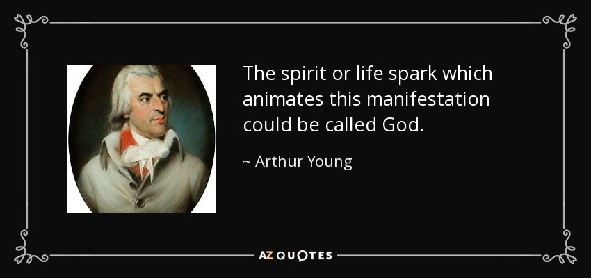 The spirit or life spark which animates this manifestation could be called God. - Arthur Young