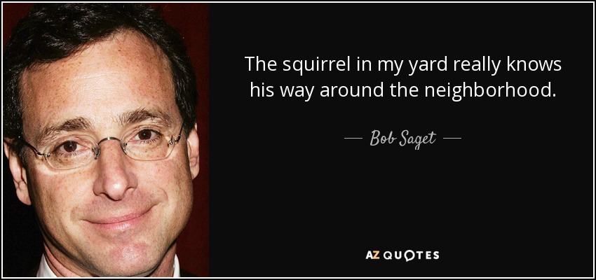 The squirrel in my yard really knows his way around the neighborhood. - Bob Saget