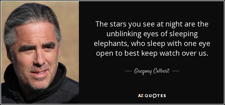 The stars you see at night are the unblinking eyes of sleeping elephants, who sleep with one eye open to best keep watch over us. - Gregory Colbert