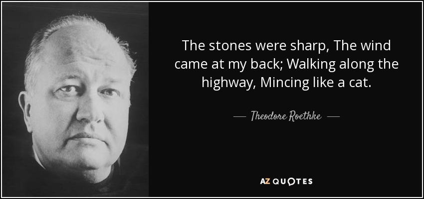 The stones were sharp, The wind came at my back; Walking along the highway, Mincing like a cat. - Theodore Roethke