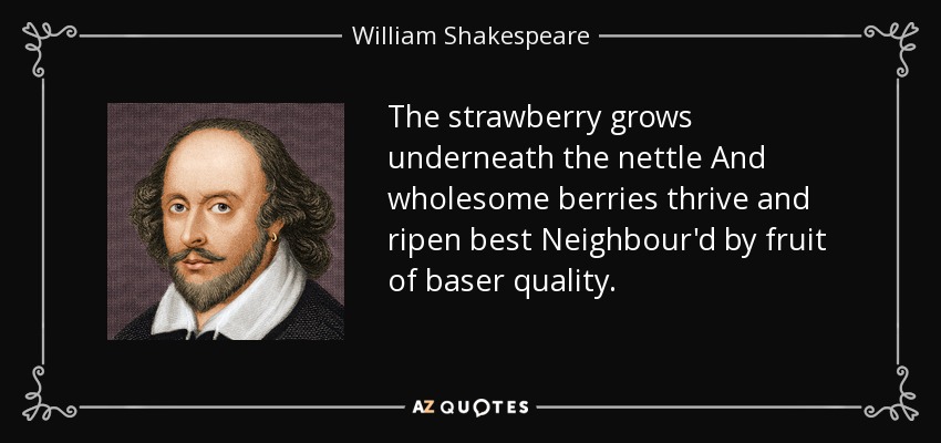 The strawberry grows underneath the nettle And wholesome berries thrive and ripen best Neighbour'd by fruit of baser quality. - William Shakespeare