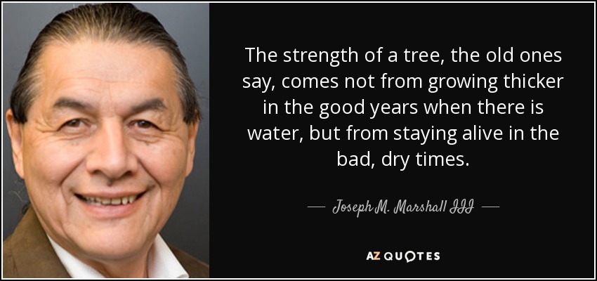 The strength of a tree, the old ones say, comes not from growing thicker in the good years when there is water, but from staying alive in the bad, dry times. - Joseph M. Marshall III