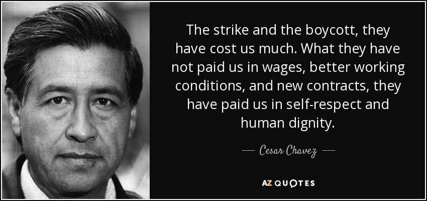 The strike and the boycott, they have cost us much. What they have not paid us in wages, better working conditions, and new contracts, they have paid us in self-respect and human dignity. - Cesar Chavez