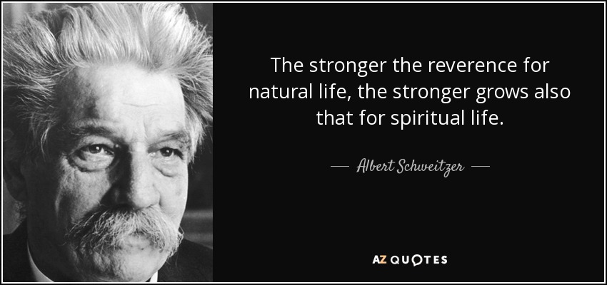 The stronger the reverence for natural life, the stronger grows also that for spiritual life. - Albert Schweitzer