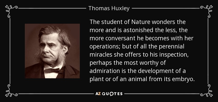 The student of Nature wonders the more and is astonished the less, the more conversant he becomes with her operations; but of all the perennial miracles she offers to his inspection, perhaps the most worthy of admiration is the development of a plant or of an animal from its embryo. - Thomas Huxley