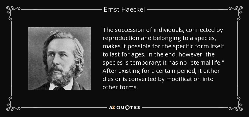 The succession of individuals, connected by reproduction and belonging to a species, makes it possible for the specific form itself to last for ages. In the end, however, the species is temporary; it has no 