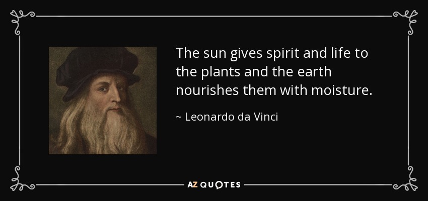 The sun gives spirit and life to the plants and the earth nourishes them with moisture. - Leonardo da Vinci