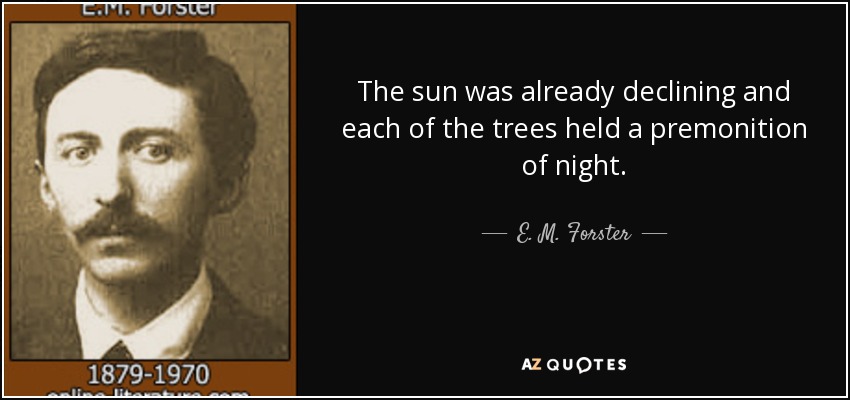 The sun was already declining and each of the trees held a premonition of night. - E. M. Forster