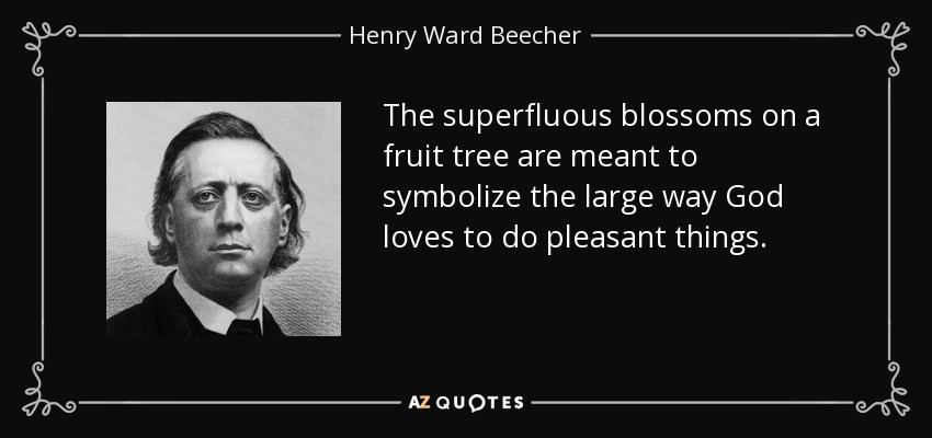 The superfluous blossoms on a fruit tree are meant to symbolize the large way God loves to do pleasant things. - Henry Ward Beecher