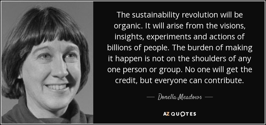 The sustainability revolution will be organic. It will arise from the visions, insights, experiments and actions of billions of people. The burden of making it happen is not on the shoulders of any one person or group. No one will get the credit, but everyone can contribute. - Donella Meadows