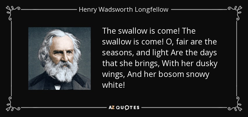 The swallow is come! The swallow is come! O, fair are the seasons, and light Are the days that she brings, With her dusky wings, And her bosom snowy white! - Henry Wadsworth Longfellow