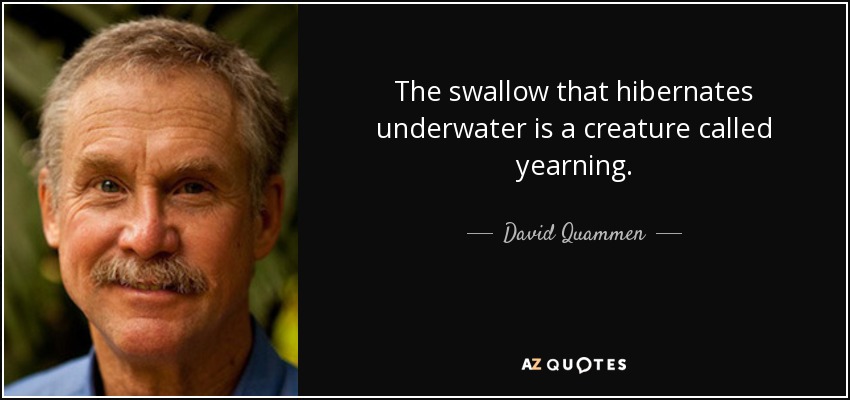The swallow that hibernates underwater is a creature called yearning. - David Quammen