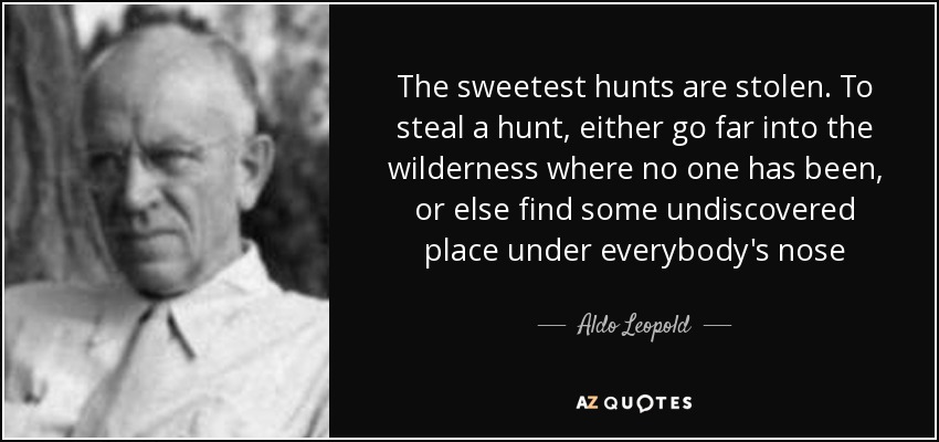 The sweetest hunts are stolen. To steal a hunt, either go far into the wilderness where no one has been, or else find some undiscovered place under everybody's nose - Aldo Leopold