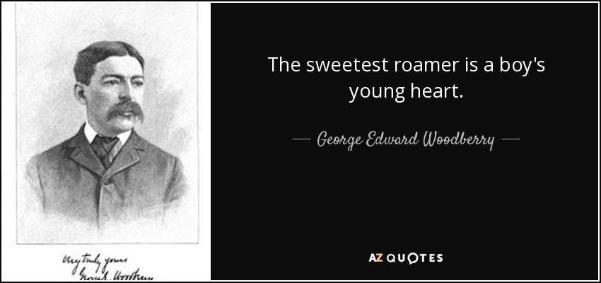 The sweetest roamer is a boy's young heart. - George Edward Woodberry