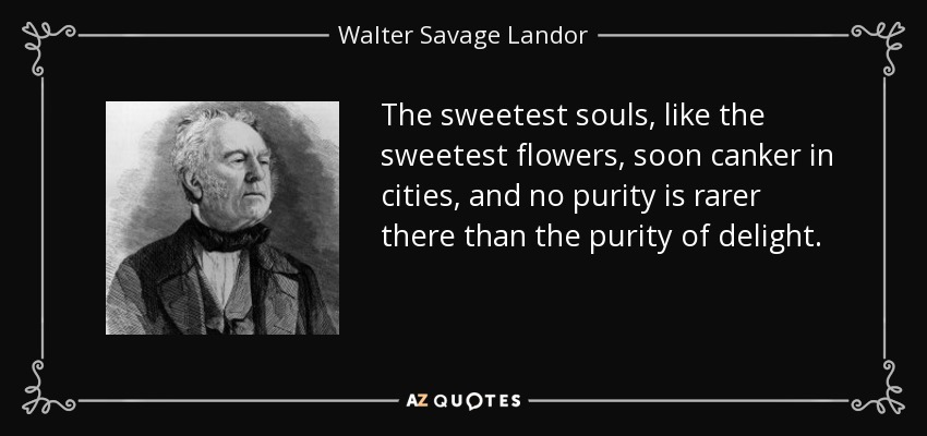 The sweetest souls, like the sweetest flowers, soon canker in cities, and no purity is rarer there than the purity of delight. - Walter Savage Landor