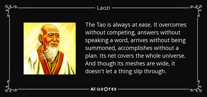 The Tao is always at ease. It overcomes without competing, answers without speaking a word, arrives without being summoned, accomplishes without a plan. Its net covers the whole universe. And though its meshes are wide, it doesn't let a thing slip through. - Laozi
