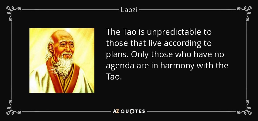 The Tao is unpredictable to those that live according to plans. Only those who have no agenda are in harmony with the Tao. - Laozi