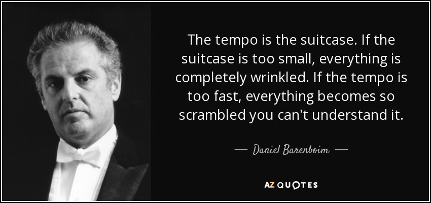 The tempo is the suitcase. If the suitcase is too small, everything is completely wrinkled. If the tempo is too fast, everything becomes so scrambled you can't understand it. - Daniel Barenboim