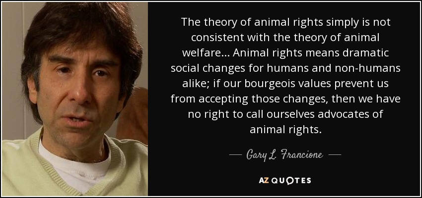 The theory of animal rights simply is not consistent with the theory of animal welfare... Animal rights means dramatic social changes for humans and non-humans alike; if our bourgeois values prevent us from accepting those changes, then we have no right to call ourselves advocates of animal rights. - Gary L. Francione