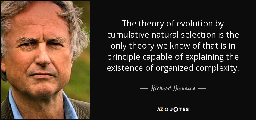 The theory of evolution by cumulative natural selection is the only theory we know of that is in principle capable of explaining the existence of organized complexity. - Richard Dawkins