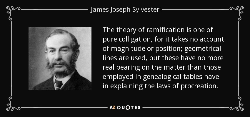 The theory of ramification is one of pure colligation, for it takes no account of magnitude or position; geometrical lines are used, but these have no more real bearing on the matter than those employed in genealogical tables have in explaining the laws of procreation. - James Joseph Sylvester