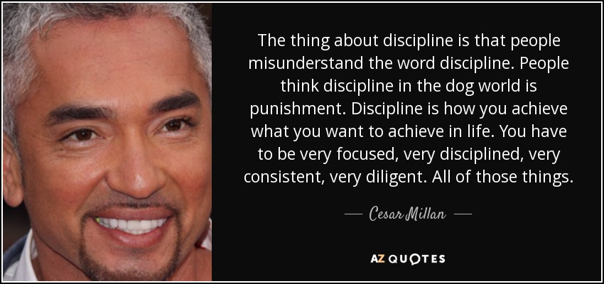 The thing about discipline is that people misunderstand the word discipline. People think discipline in the dog world is punishment. Discipline is how you achieve what you want to achieve in life. You have to be very focused, very disciplined, very consistent, very diligent. All of those things. - Cesar Millan