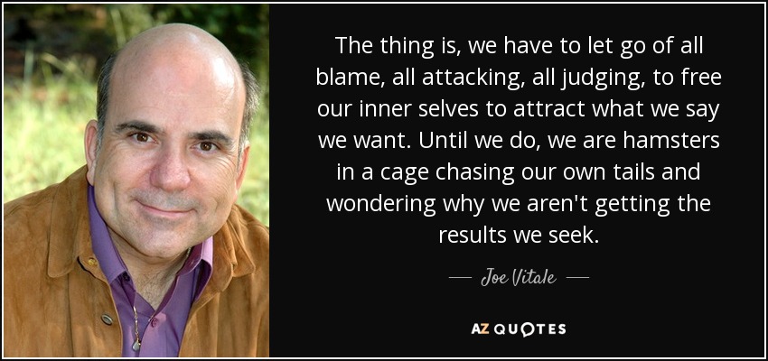 The thing is, we have to let go of all blame, all attacking, all judging, to free our inner selves to attract what we say we want. Until we do, we are hamsters in a cage chasing our own tails and wondering why we aren't getting the results we seek. - Joe Vitale