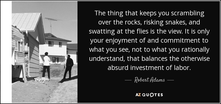 The thing that keeps you scrambling over the rocks, risking snakes, and swatting at the flies is the view. It is only your enjoyment of and commitment to what you see, not to what you rationally understand, that balances the otherwise absurd investment of labor. - Robert Adams