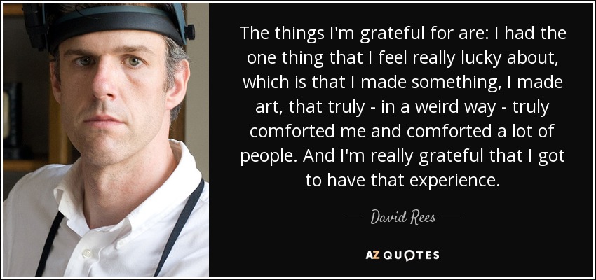 The things I'm grateful for are: I had the one thing that I feel really lucky about, which is that I made something, I made art, that truly - in a weird way - truly comforted me and comforted a lot of people. And I'm really grateful that I got to have that experience. - David Rees