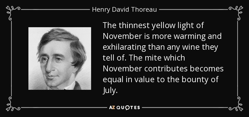 The thinnest yellow light of November is more warming and exhilarating than any wine they tell of. The mite which November contributes becomes equal in value to the bounty of July. - Henry David Thoreau