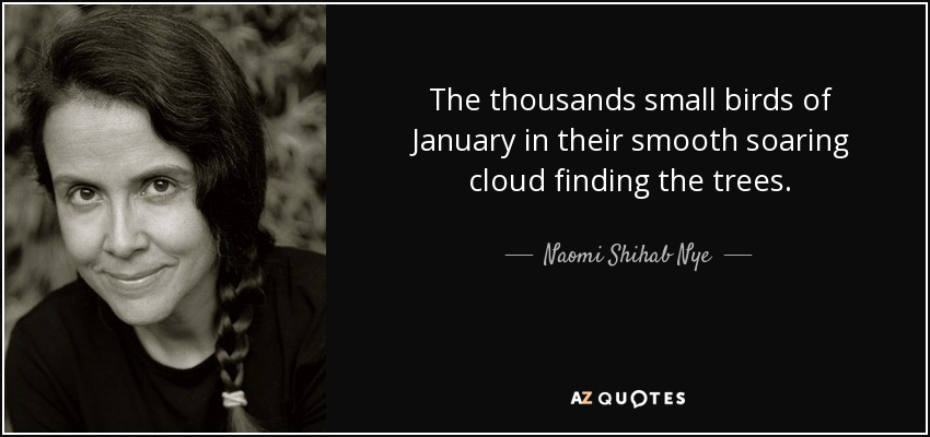 The thousands small birds of January in their smooth soaring cloud finding the trees. - Naomi Shihab Nye