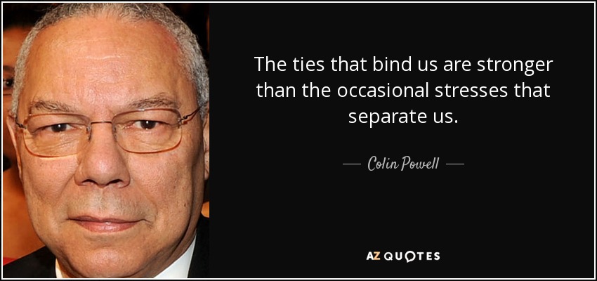 The ties that bind us are stronger than the occasional stresses that separate us. - Colin Powell