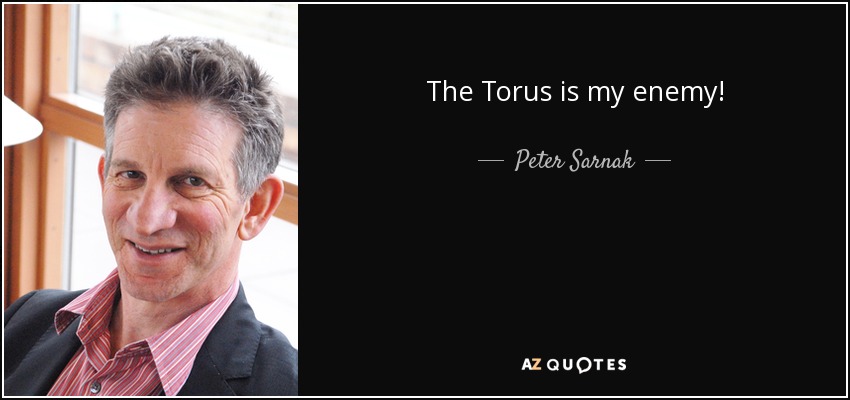The Torus is my enemy! - Peter Sarnak