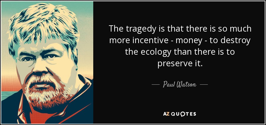 The tragedy is that there is so much more incentive - money - to destroy the ecology than there is to preserve it. - Paul Watson