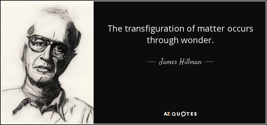 The transfiguration of matter occurs through wonder. - James Hillman