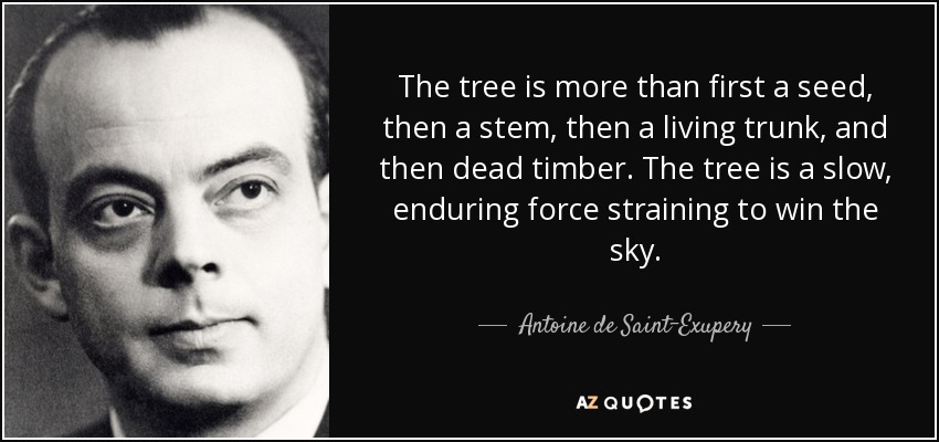 The tree is more than first a seed, then a stem, then a living trunk, and then dead timber. The tree is a slow, enduring force straining to win the sky. - Antoine de Saint-Exupery