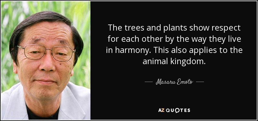 The trees and plants show respect for each other by the way they live in harmony. This also applies to the animal kingdom. - Masaru Emoto