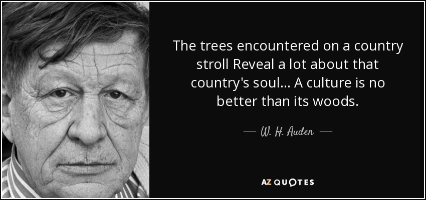 The trees encountered on a country stroll Reveal a lot about that country's soul ... A culture is no better than its woods. - W. H. Auden